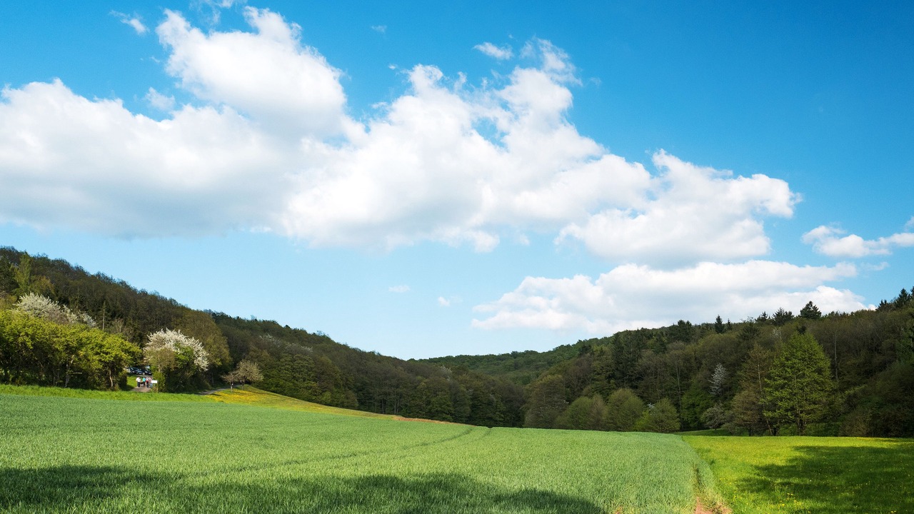 Photo of Others in Sulzfeld