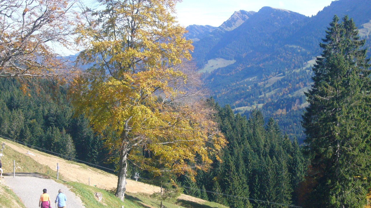 Photo of Outdoor in Oberstaufen