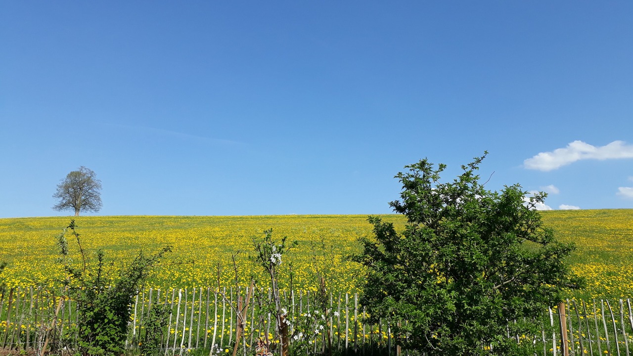 Photo of Outdoor in Durach