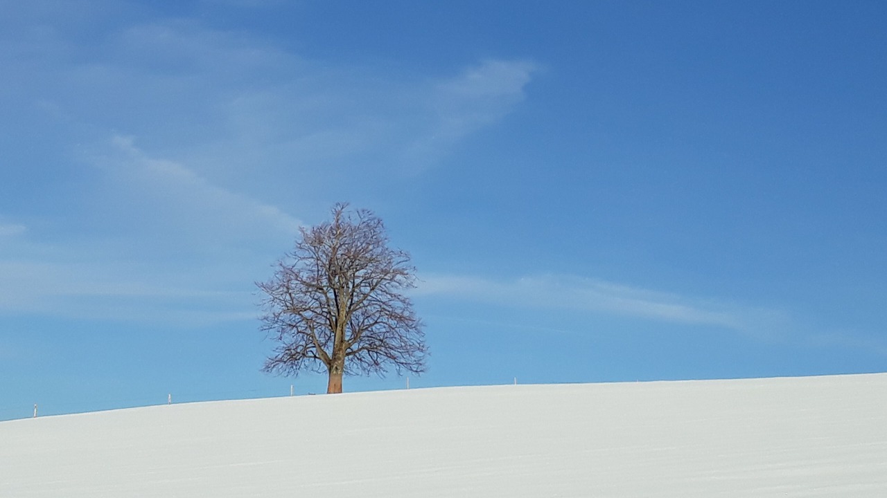 Photo of Others in Durach