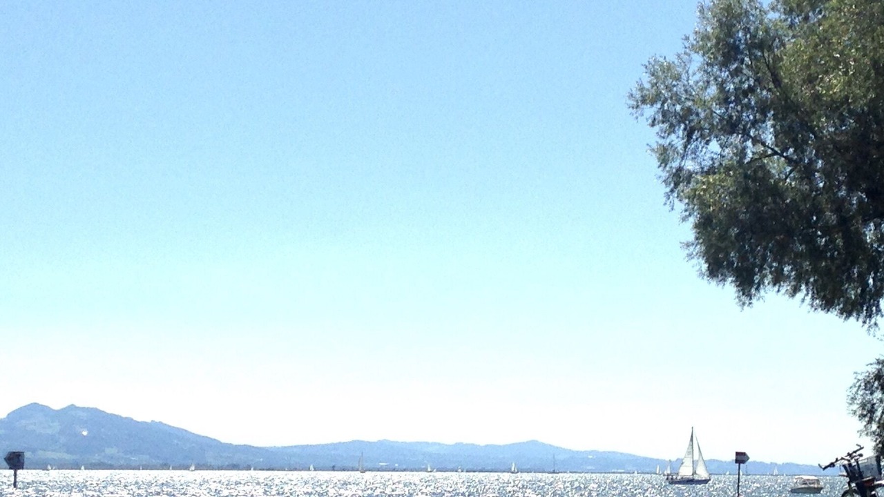 Photo of Others in Insel