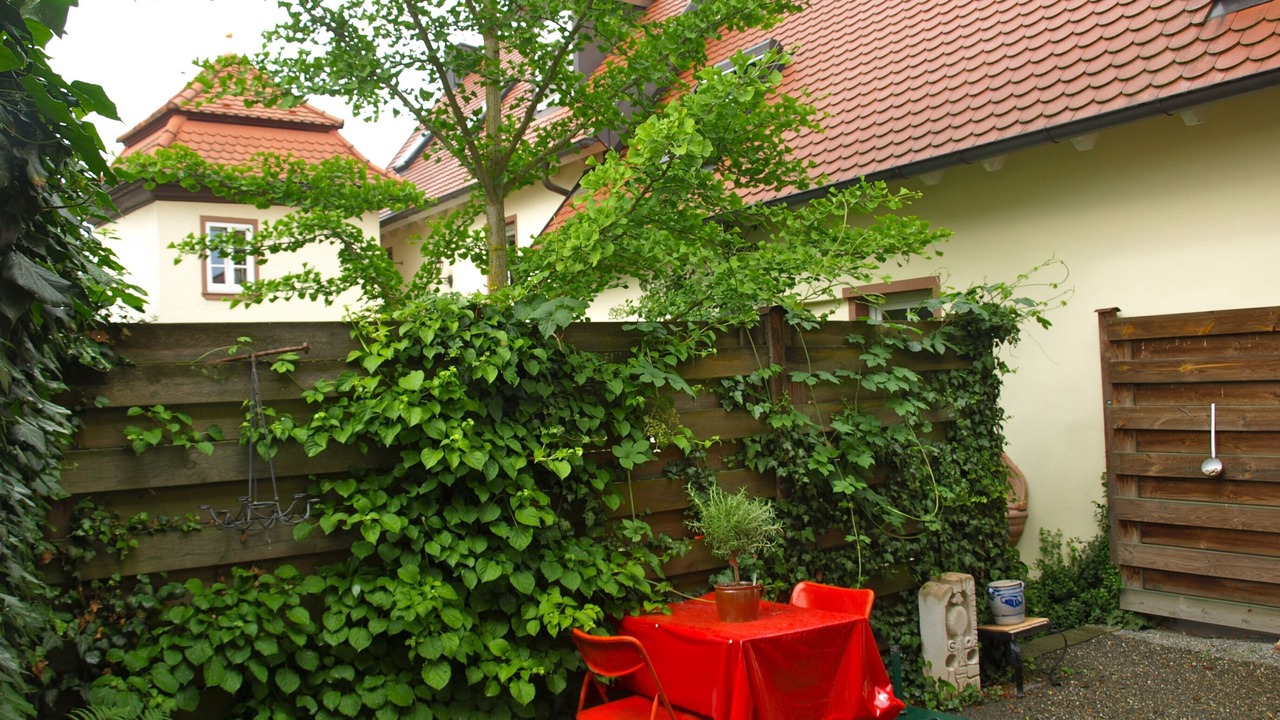 Photo of Outdoor in Thuengersheim