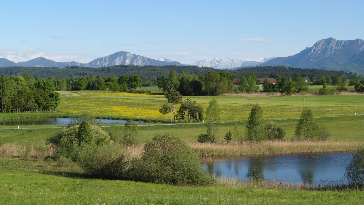 Photo of Others in Berg