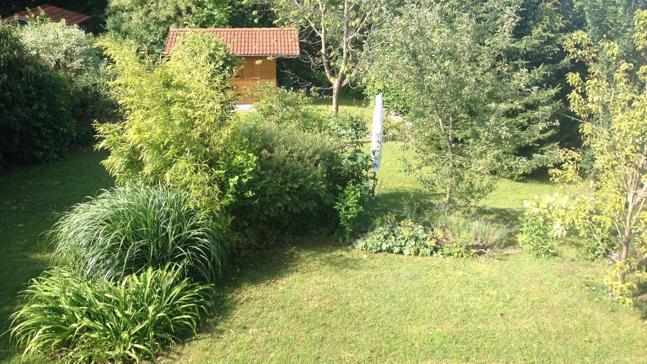 Photo of Outdoor in Berg