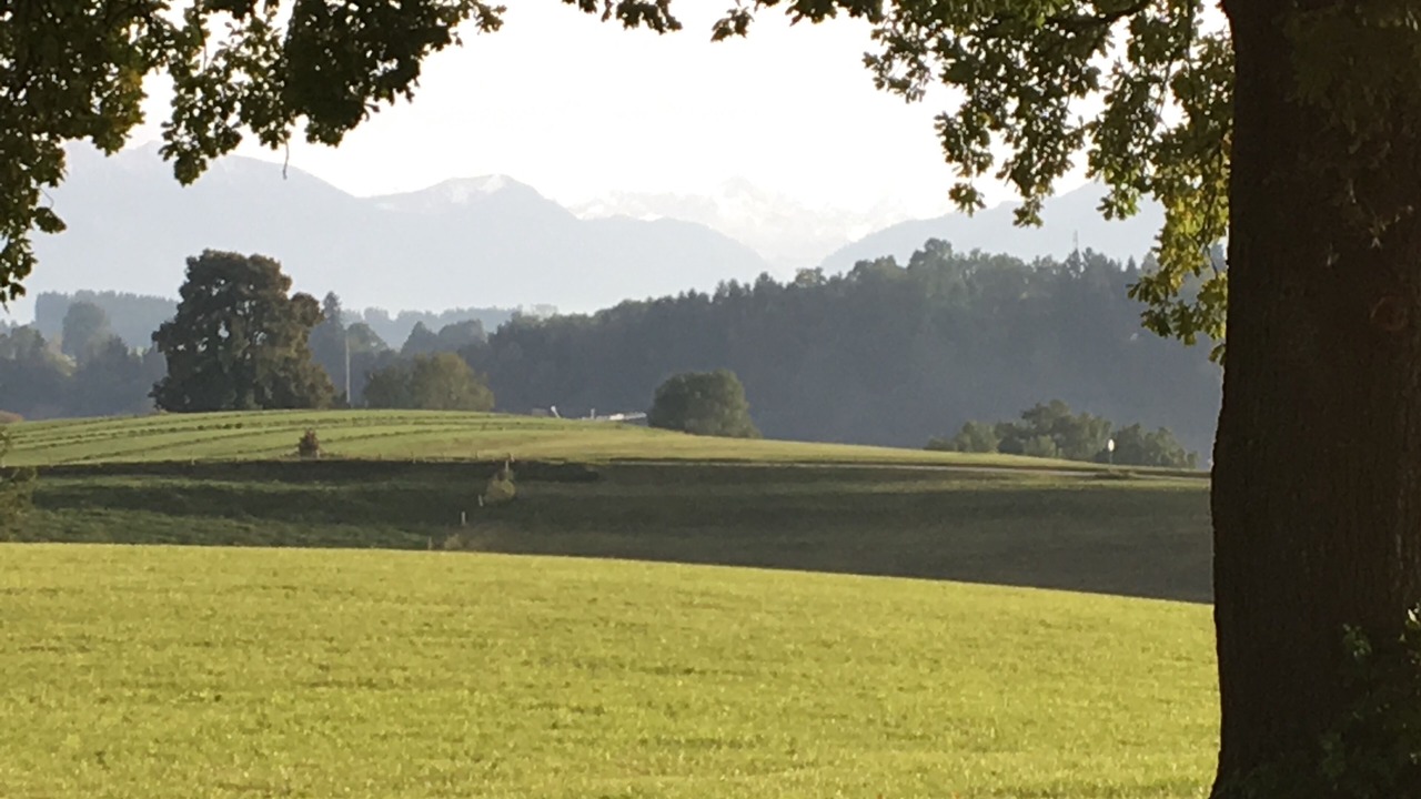 Photo of Others in Berg
