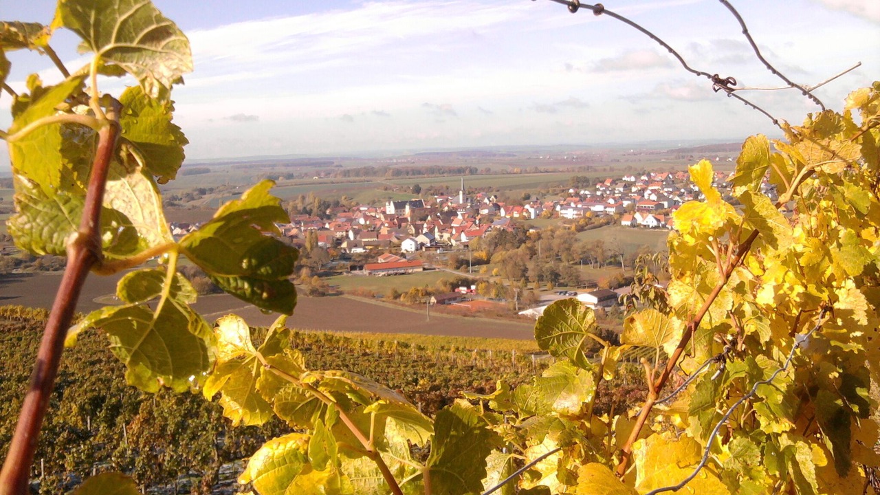 Photo of Others in Oberschwarzach