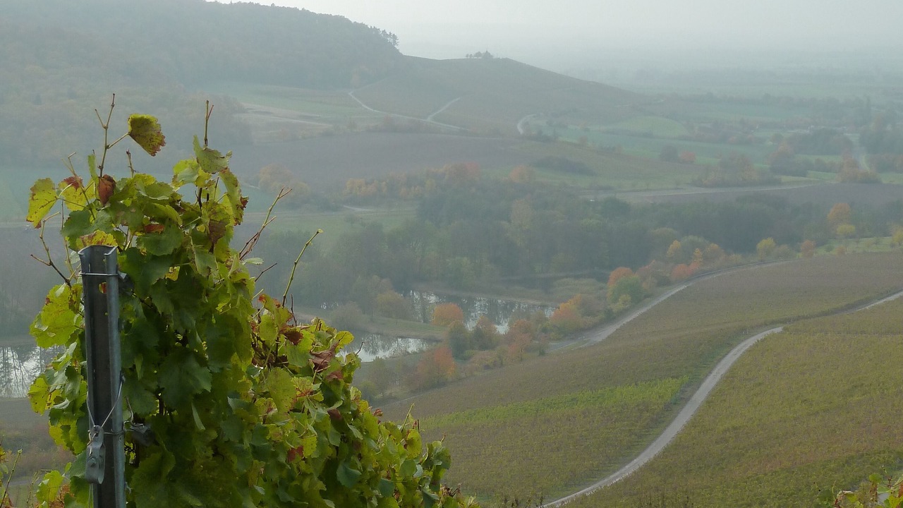 Photo of Others in Oberschwarzach