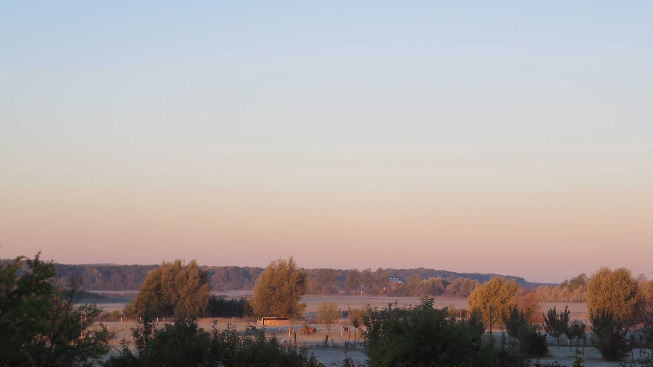 Photo of Others in Borgerende