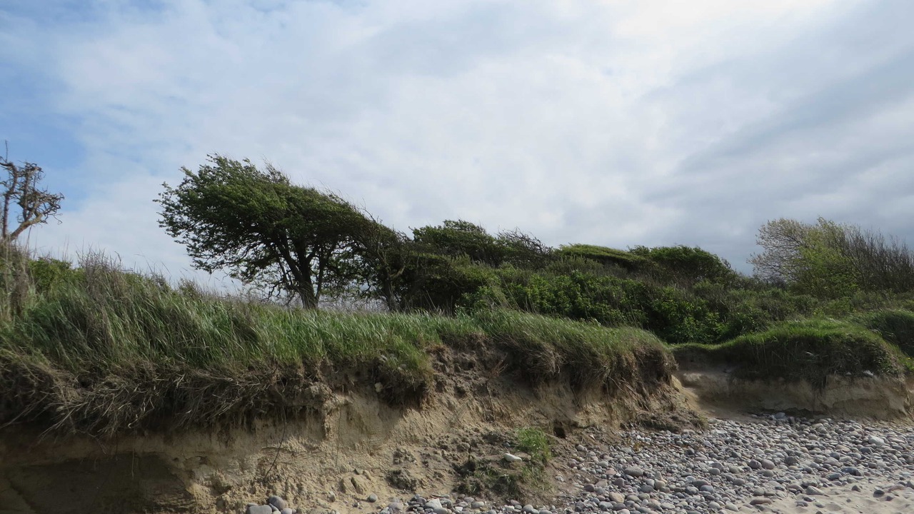 Photo of Others in Borgerende