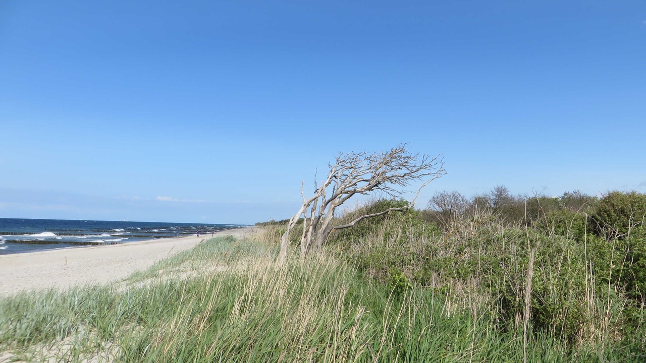 Photo of Others in Borgerende