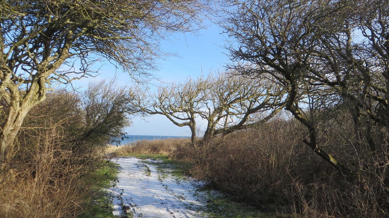 Photo of Others in Borgerende