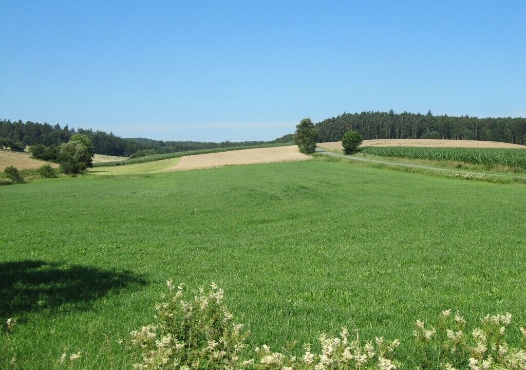Photo of Others in Buchelberg