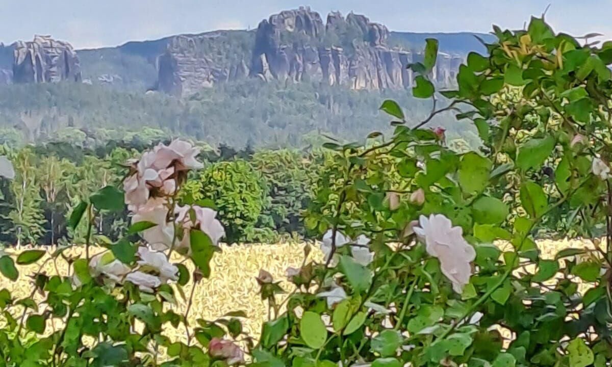 Photo of Others in Rathmannsdorf