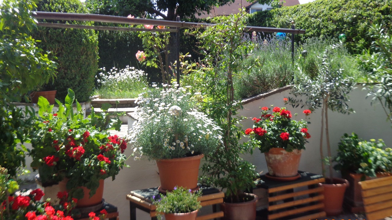 Photo of Outdoor in Diessen am Ammersee