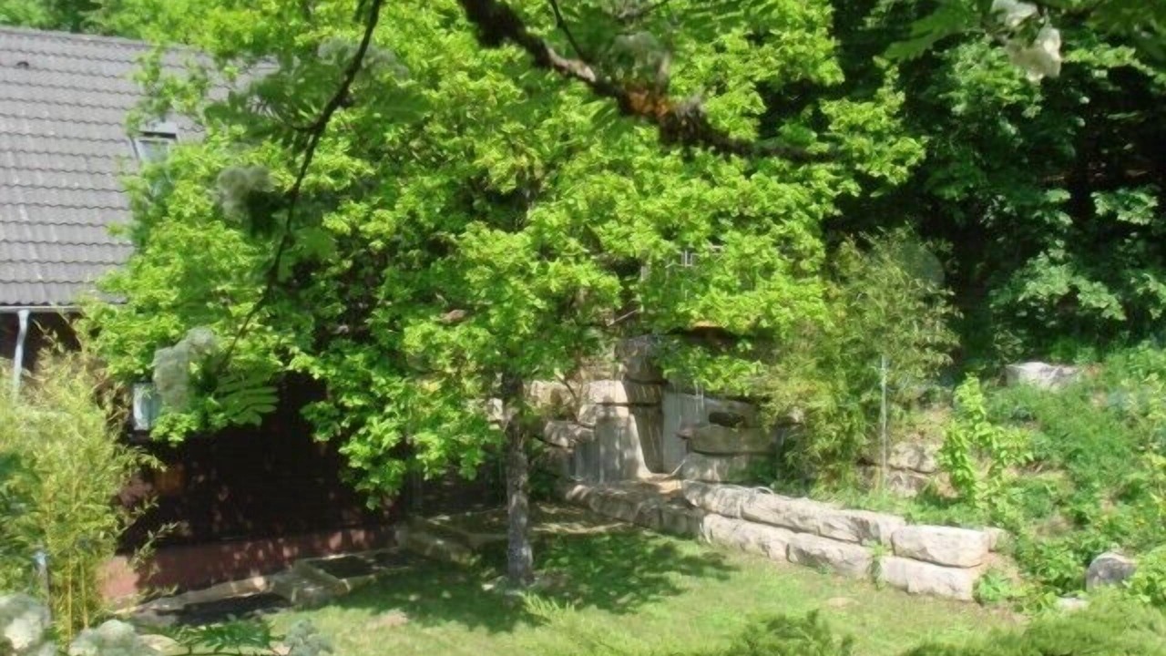Photo of Outdoor in Kinding