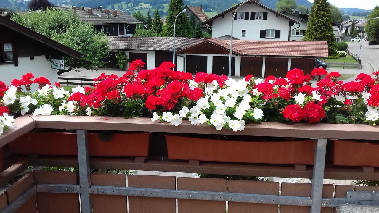 Photo of Outdoor in Burgberg