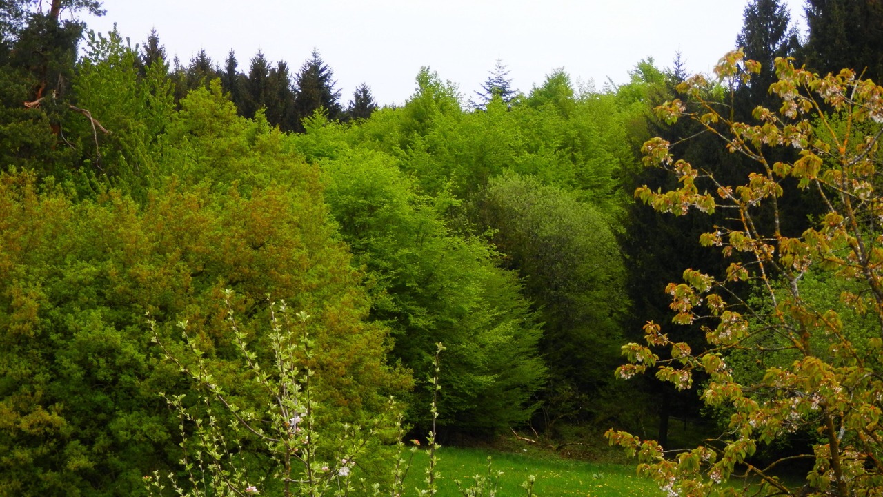 Photo of Outdoor in Eggstatt