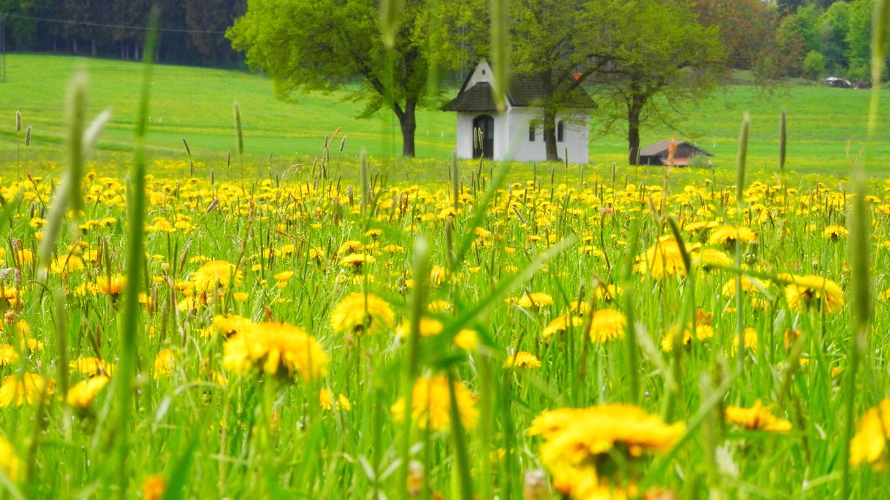 Photo of Outdoor in Eggstatt