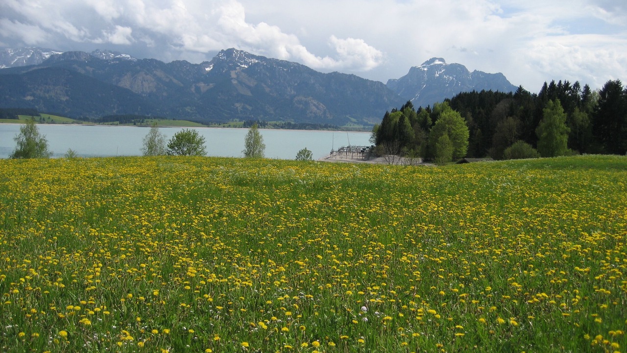 Photo of Outdoor in Rosshaupten