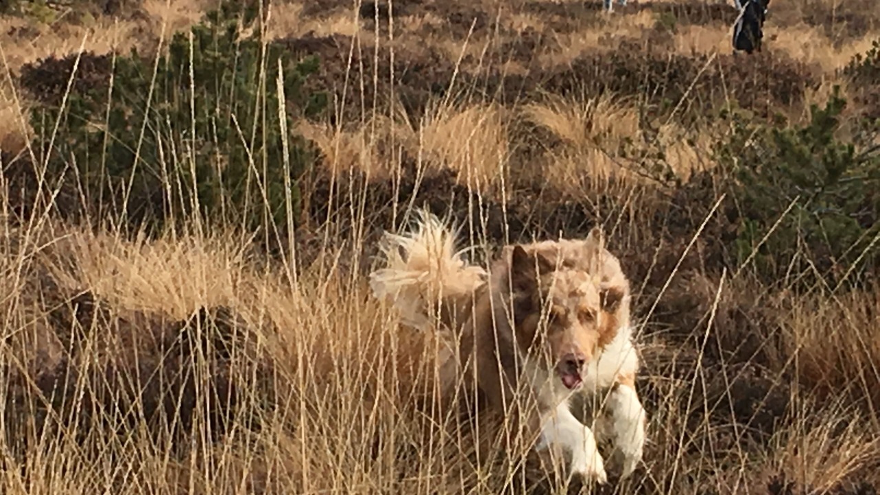 Photo of Outdoor in Seeshaupt