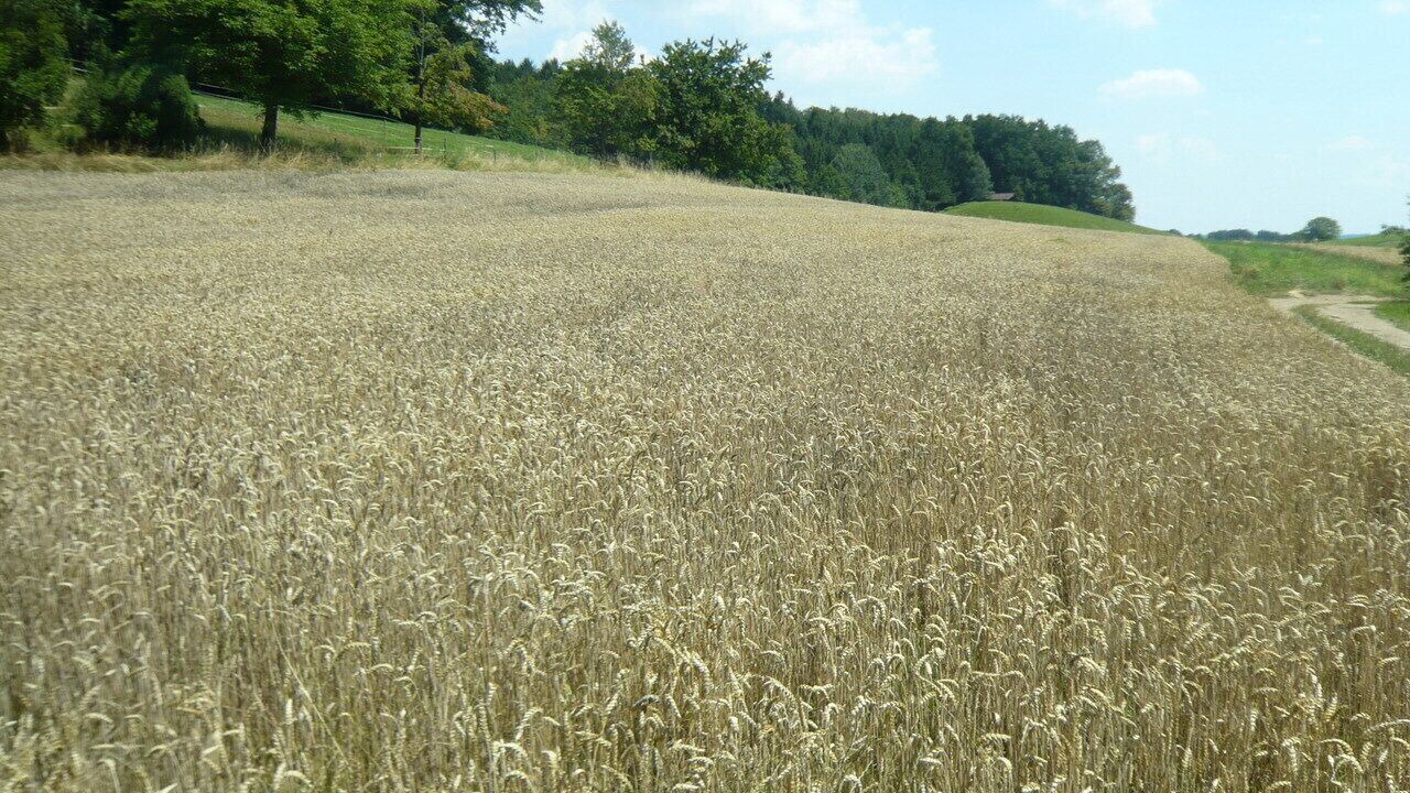 Photo of Outdoor in Soyen