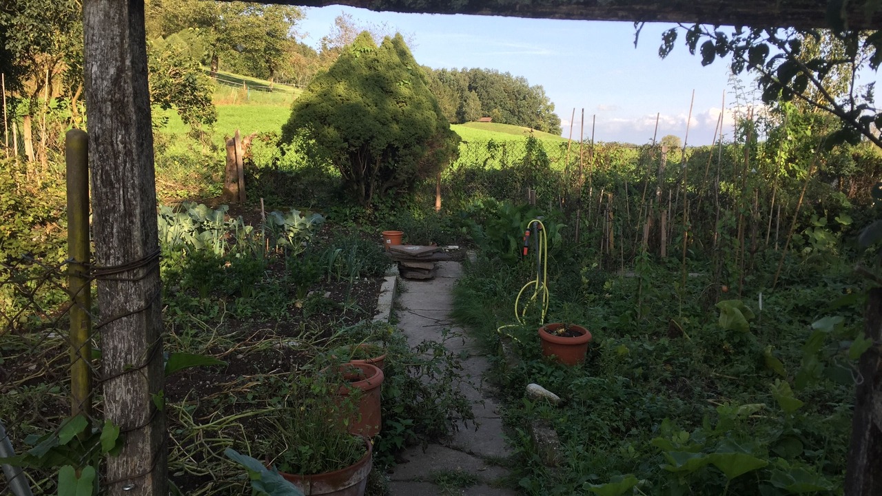 Photo of Outdoor in Soyen