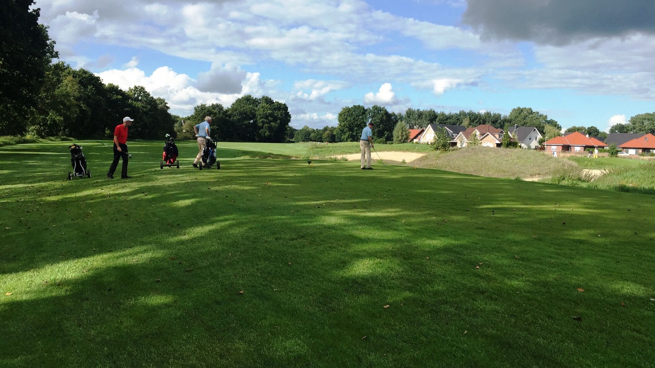 Photo of Others in Haren
