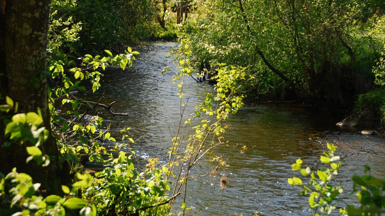 Photo of Outdoor in Schoenberg