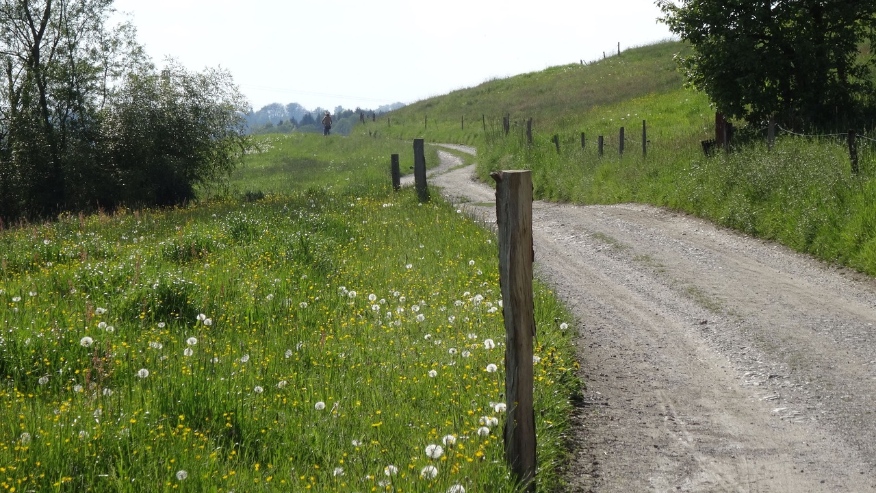 Photo of Outdoor in Antwort