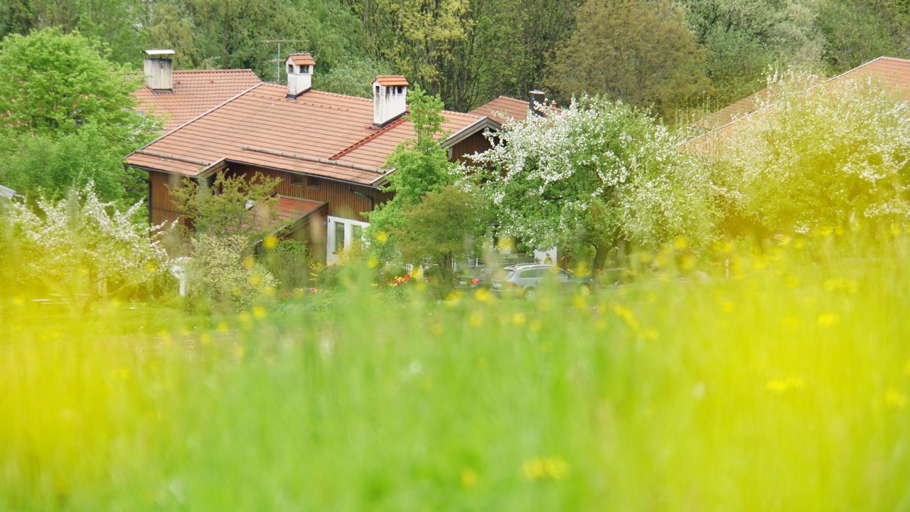Photo of Outdoor in Antwort