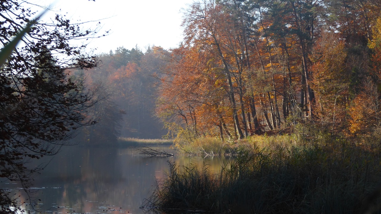 Photo of Outdoor in Antwort