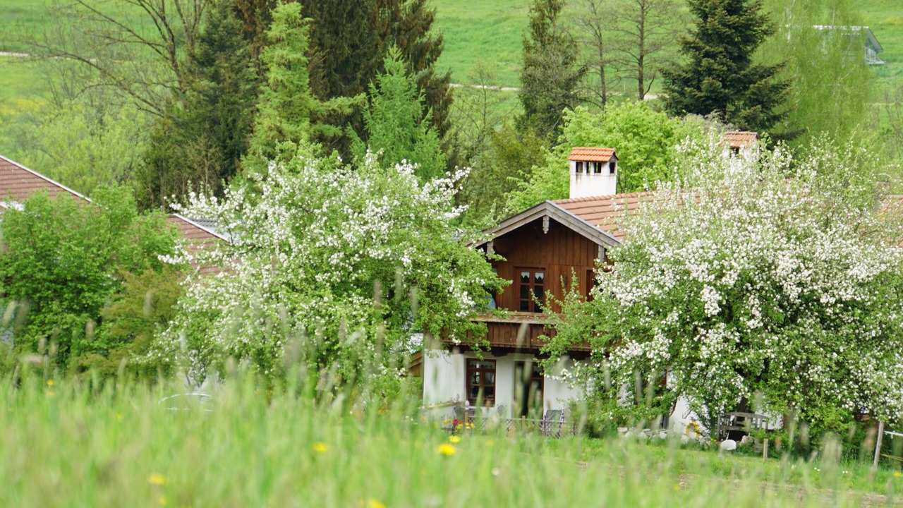 Photo of Outdoor in Antwort