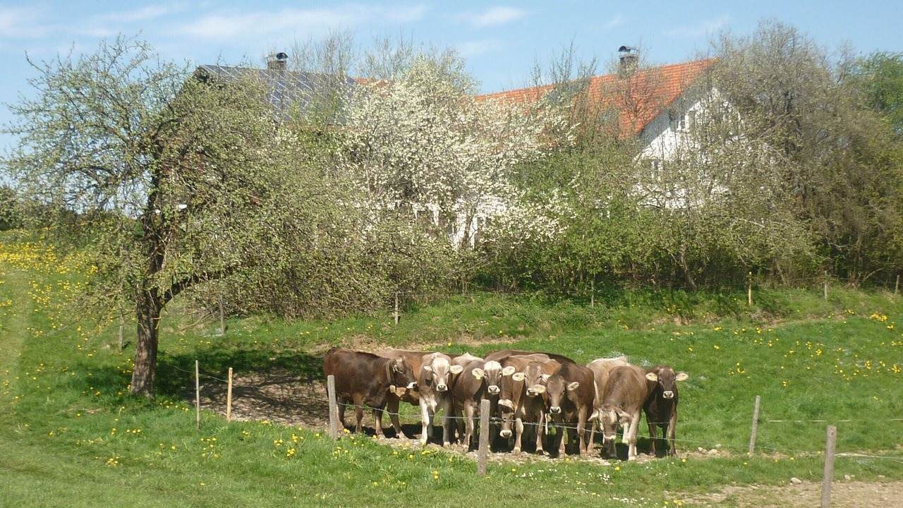 Photo of Outdoor in Kaufbeuren