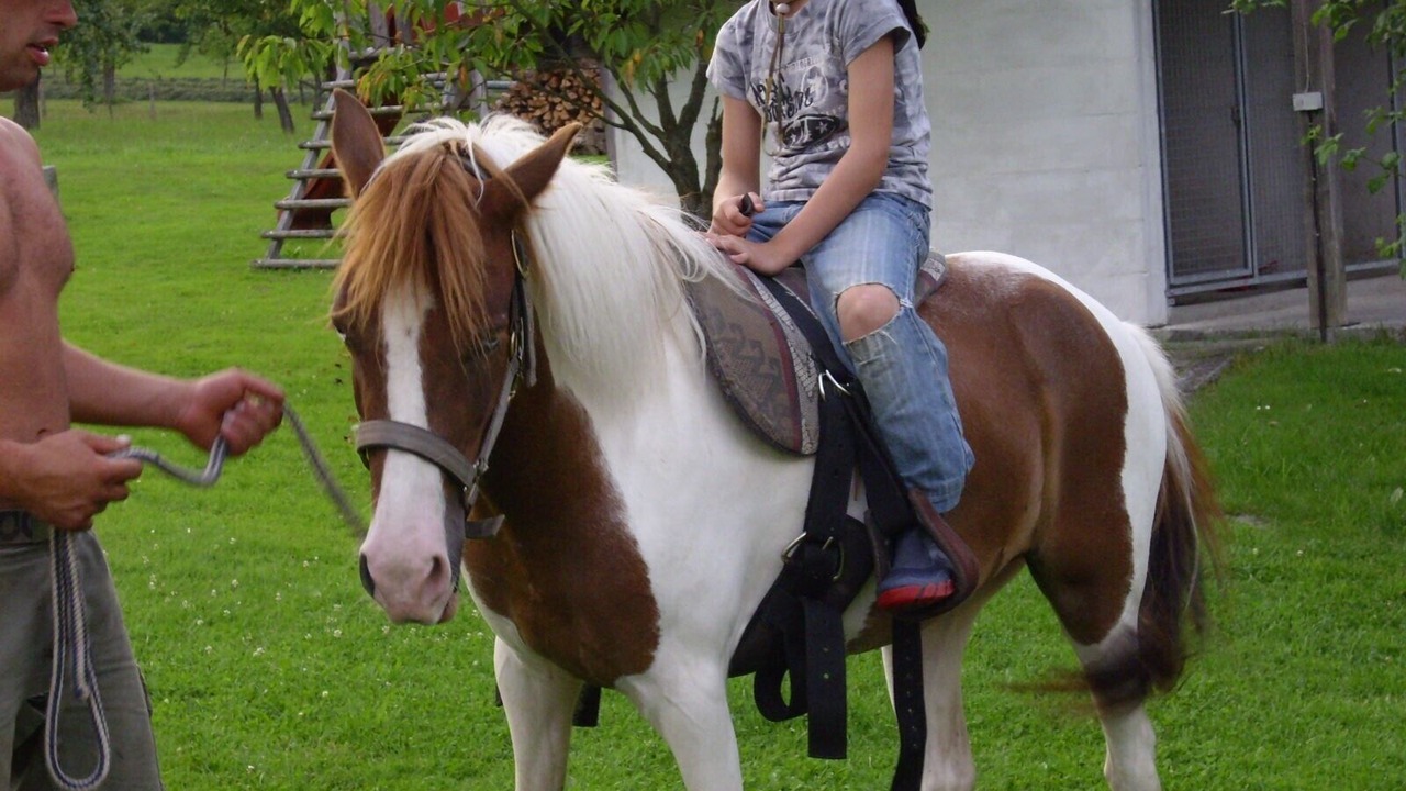 Photo of Outdoor in Pilgramsberg
