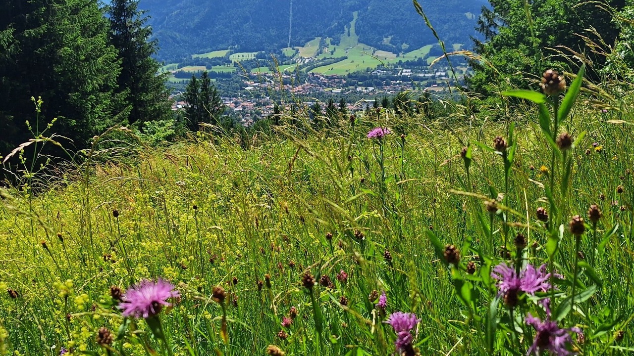 Photo of Others in Lenggries