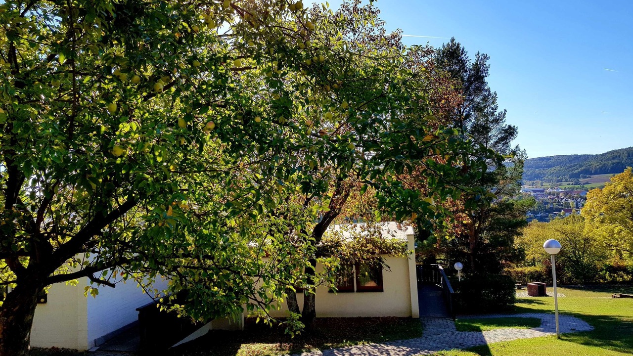 Photo of Outdoor in Heiligenstadt in Oberfranken