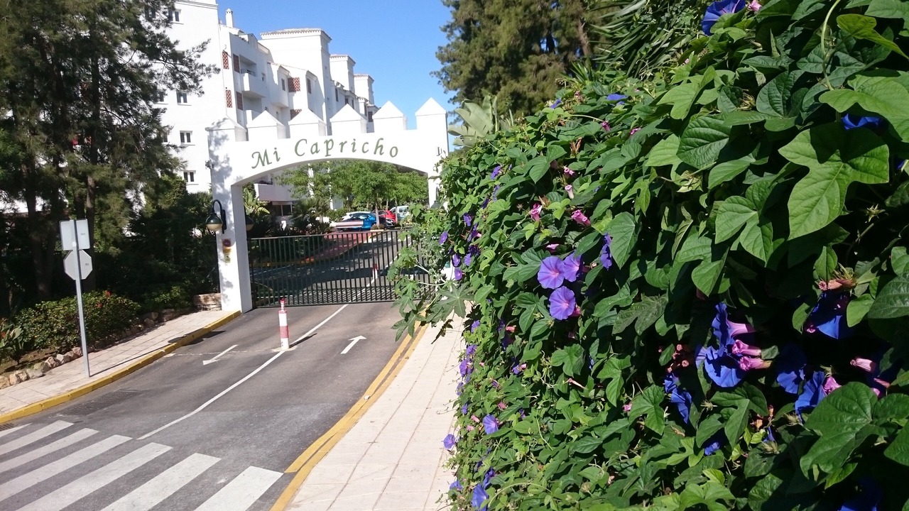 Photo of Outdoor in Sitio de Calahonda