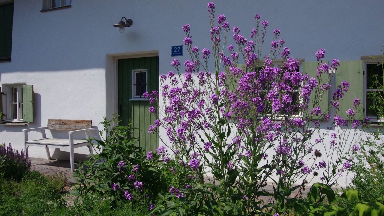 Photo of Outdoor in Diessen am Ammersee