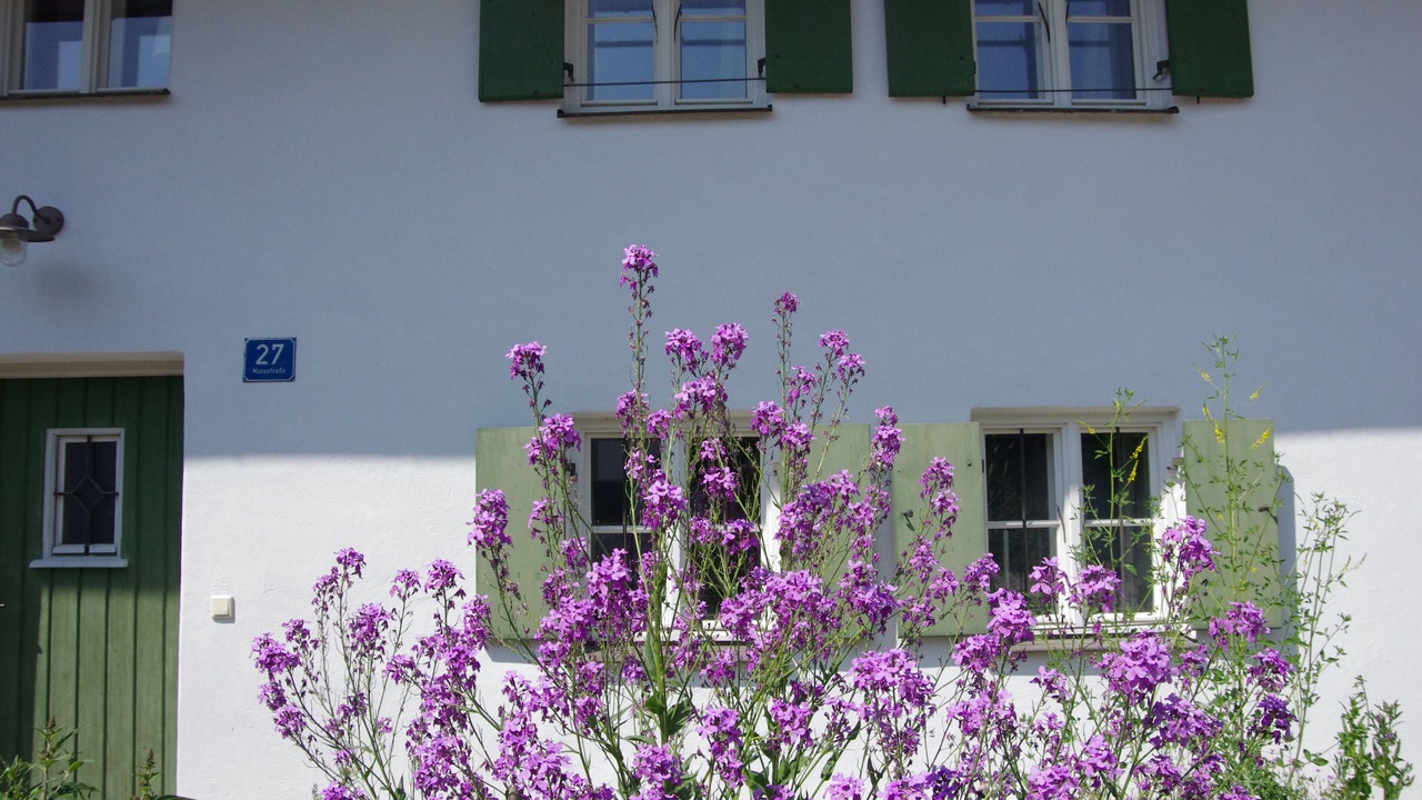 Photo of Outdoor in Diessen am Ammersee
