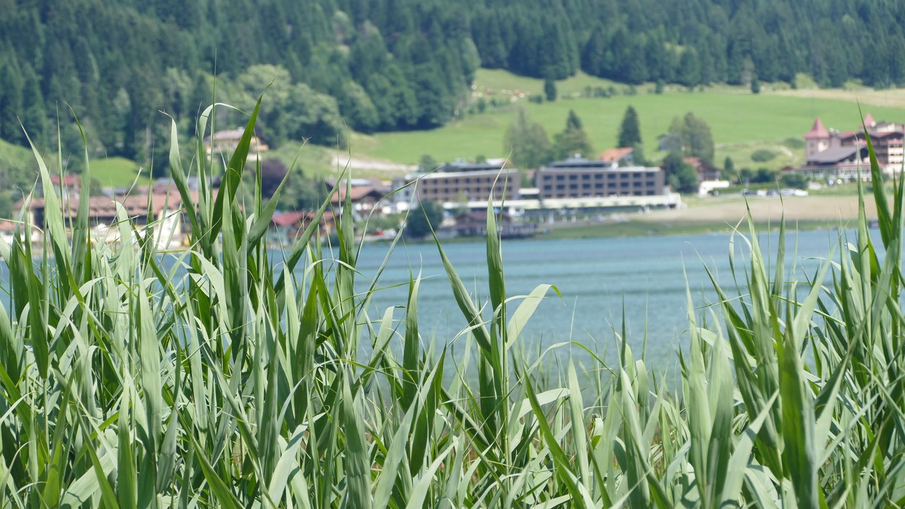 Photo of Outdoor in Obermaiselstein