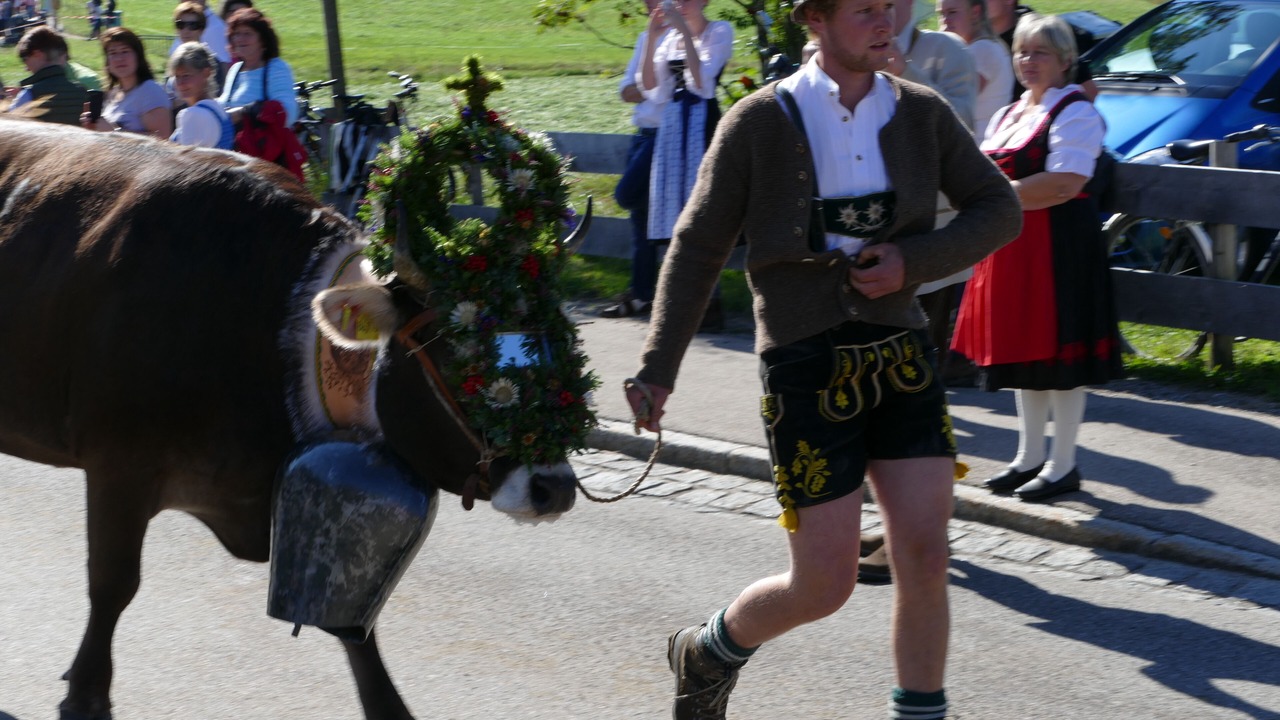 Photo of Others in Obermaiselstein
