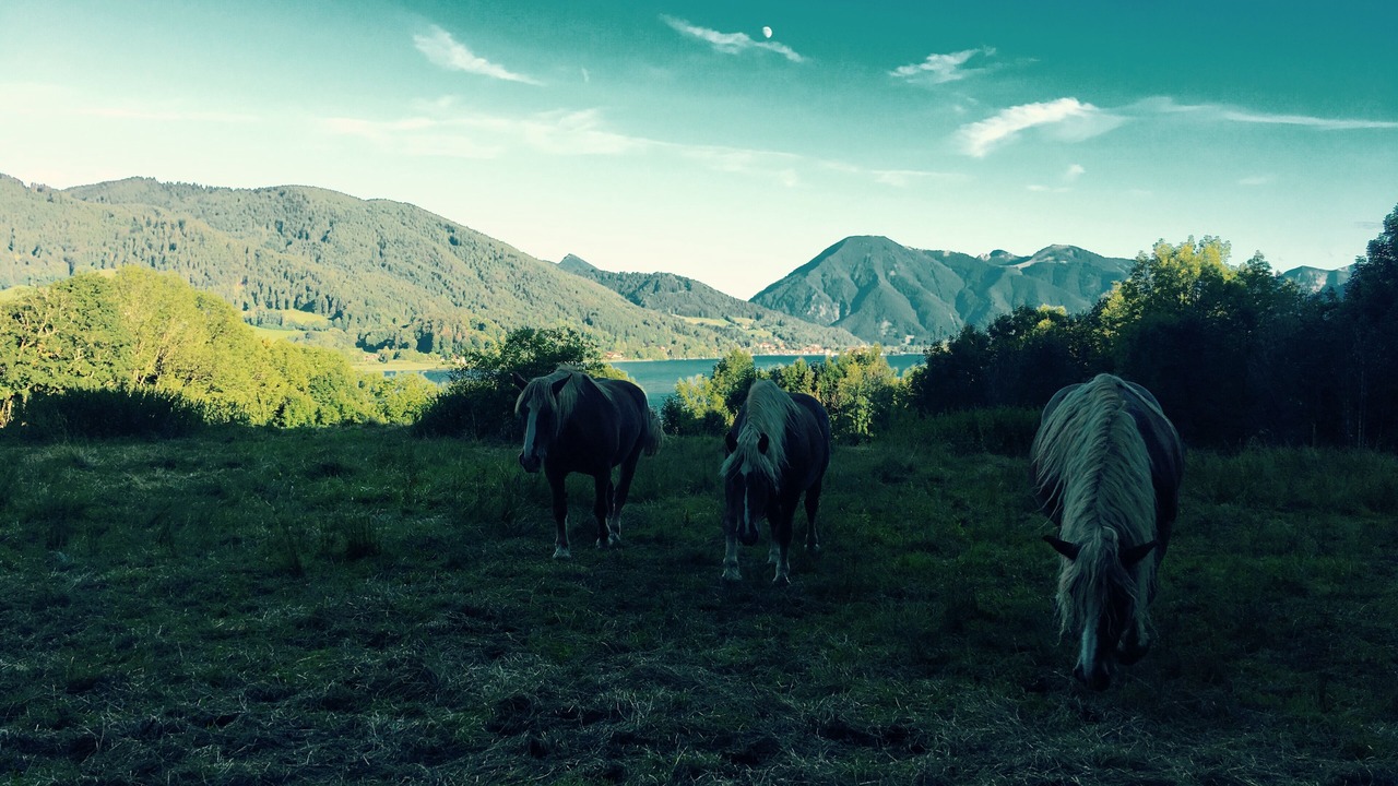 Photo of Outdoor in Gmund am Tegernsee