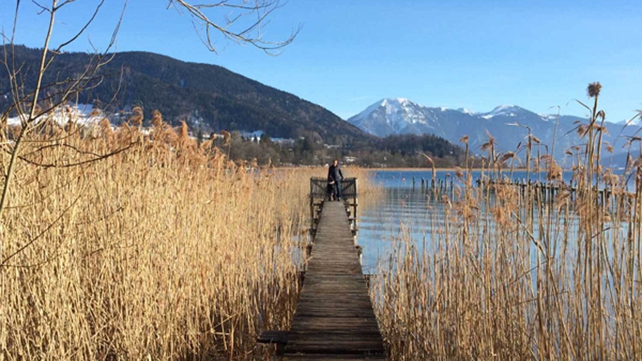 Photo of Others in Gmund am Tegernsee