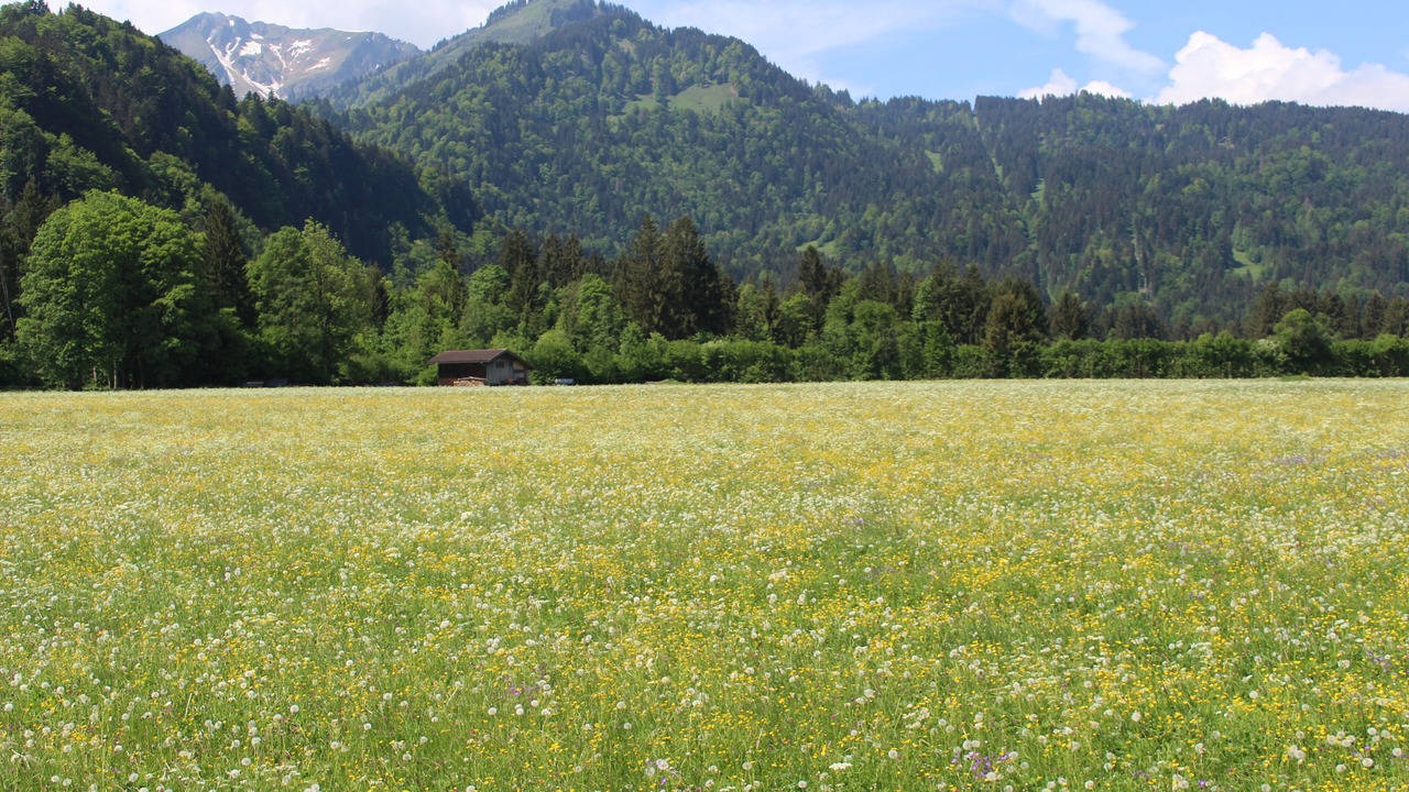 Photo of Others in Oberstdorf