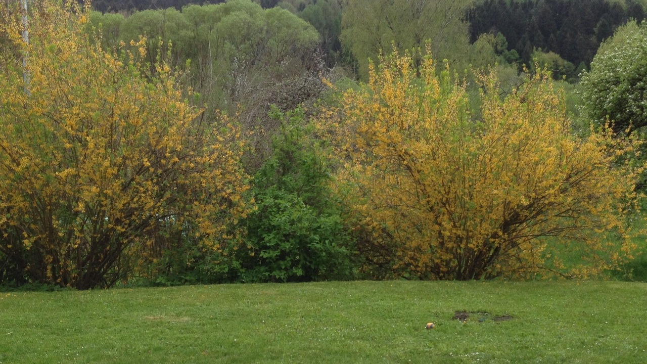 Photo of Outdoor in Gasseldorf