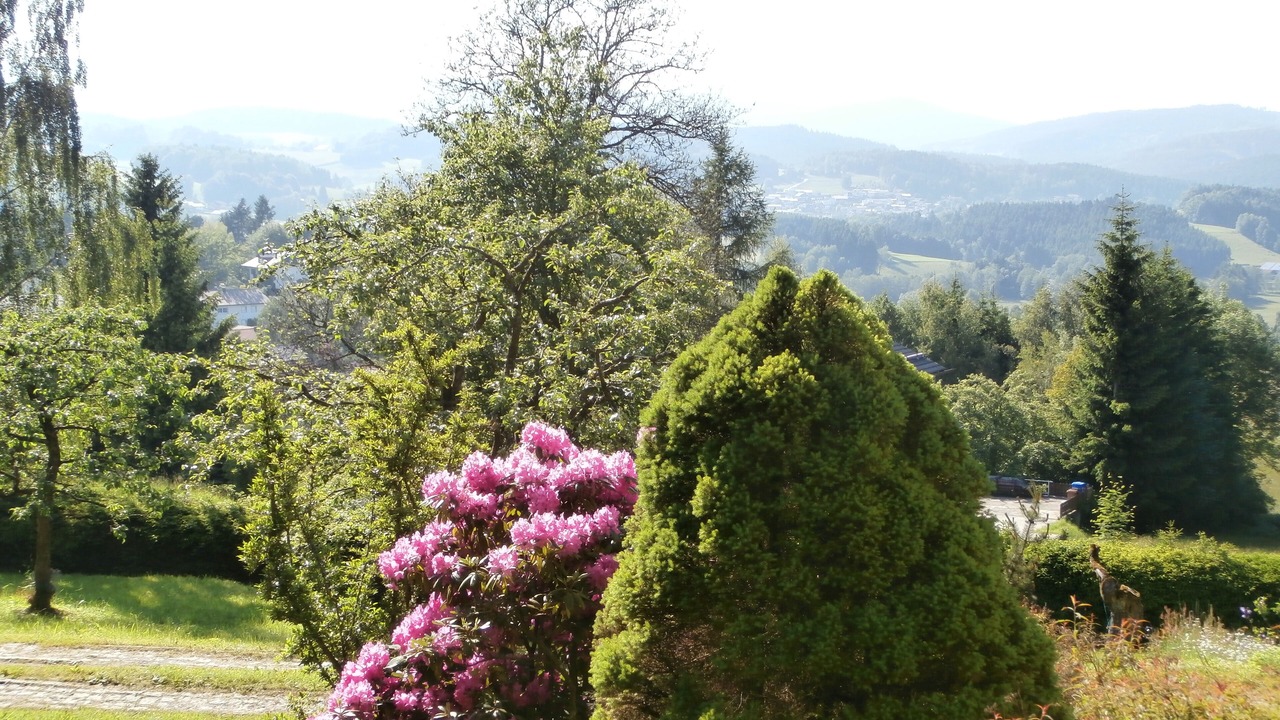 Photo of Outdoor in Zachenberg