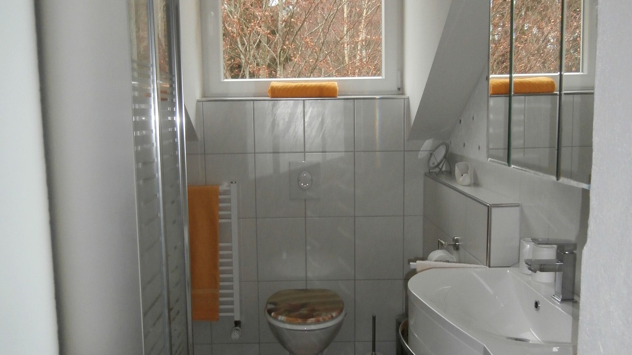 Photo of Bathroom in Zachenberg