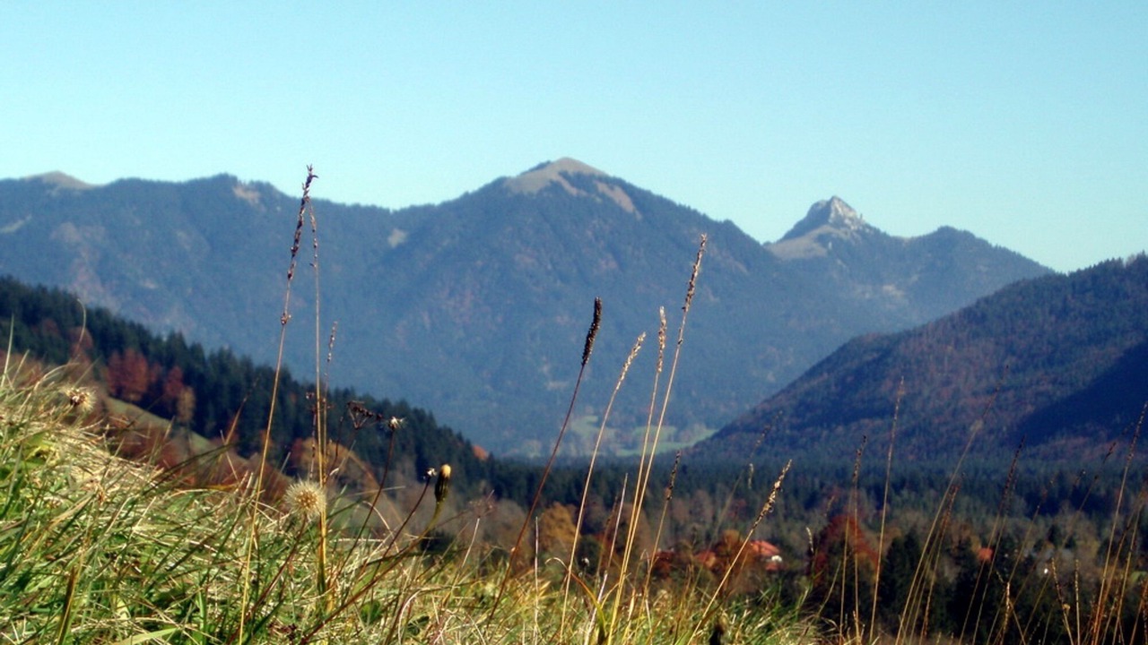 Photo of Others in Jachenau