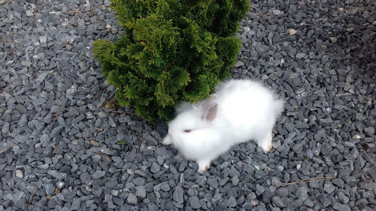 Photo of Outdoor in Rosendahl