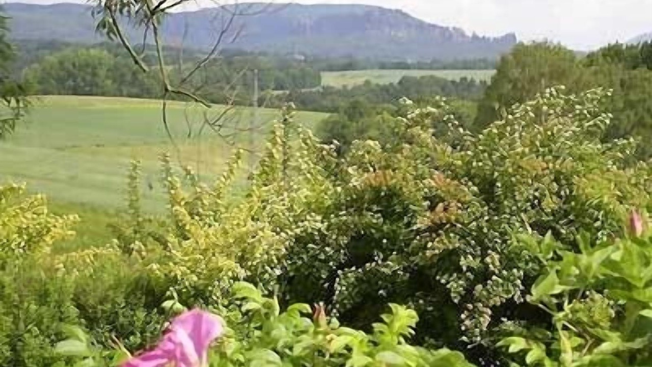 Photo of Outdoor in Dorf Wehlen